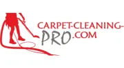 Carpet Cleaning Pro
