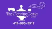 Cleaning Genie