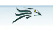 Chicago Carpet Cleaning
