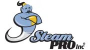 Steam Pro