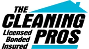 The Cleaning Pros