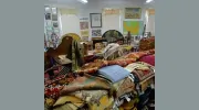Castle Cleaning and Oriental Rug Co.