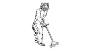 Cleaner Carpets