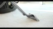 Absolute Carpet Care