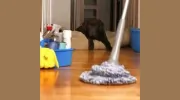 Home Maid Housekeeping Agency