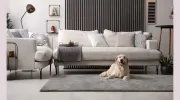 Above & Beyond Carpet Care