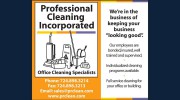 Professional Cleaning