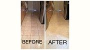 Dirt Free Carpet
