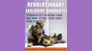 Houston Carpet Cleaning