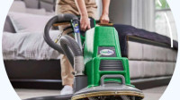 Carpet Cleaning