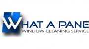 What A Pane Window Cleaning
