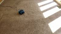 Residential Carpet Cleaning