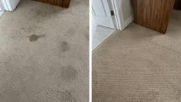 Before and After Carpet Cleaning Results