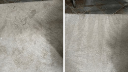 Before and After Carpet Cleaning Results