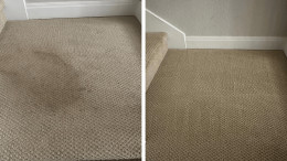 Before and After Carpet Cleaning Results