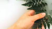 Eco-Friendly Cleaning