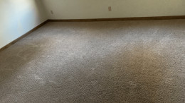 Carpet cleaning