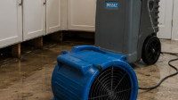 Water Damage