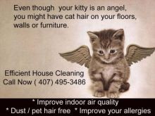 House Cleaning for Cat Owners. Free Estimates (407) 495-3486. Residential cleaning in Gotha, Windermere, Sand Lake, Orlando, Apopka, Sanford, Champions Gate, Winter Garden, Hunters Creek, Osceola, St. Cloud, Kissimmee, Davenport, Champions Gate, Haines Ci