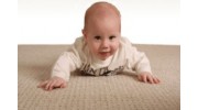 Carpet Cleaning