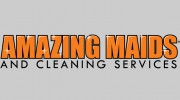 Amazing Maids Of Washington