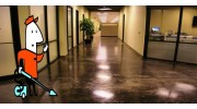 Carpet Cleaning
