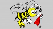 Clean Bee Cleaning Service