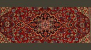 The Rug Expert