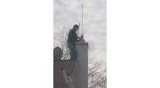 Chimney Sweeping & Inspections